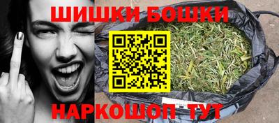 индика Усть-Илимск